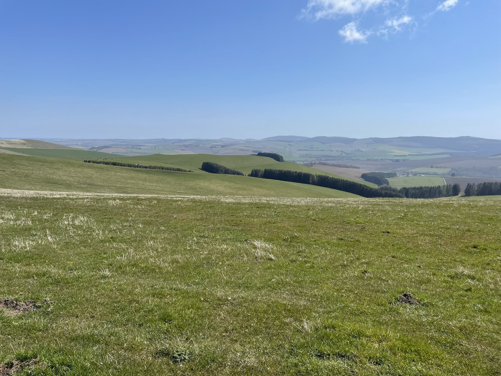 View of the proposed site